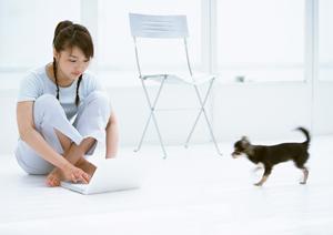 壊れなくて長く使える犬のおもちゃ